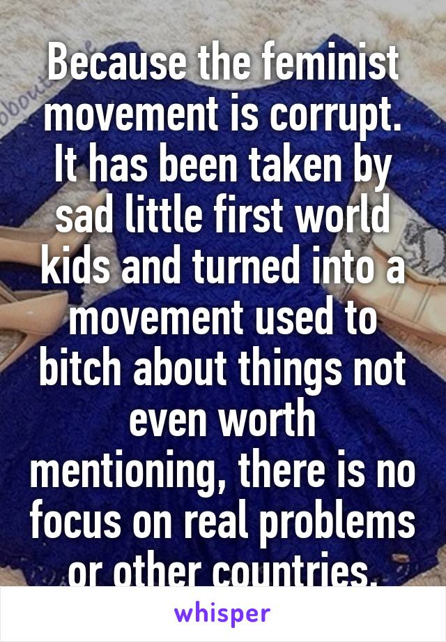 Because the feminist movement is corrupt. It has been taken by sad little first world kids and turned into a movement used to bitch about things not even worth mentioning, there is no focus on real problems or other countries.