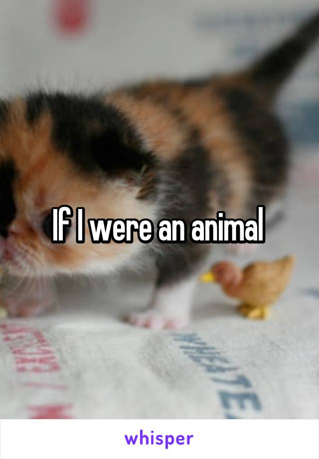 If I were an animal 