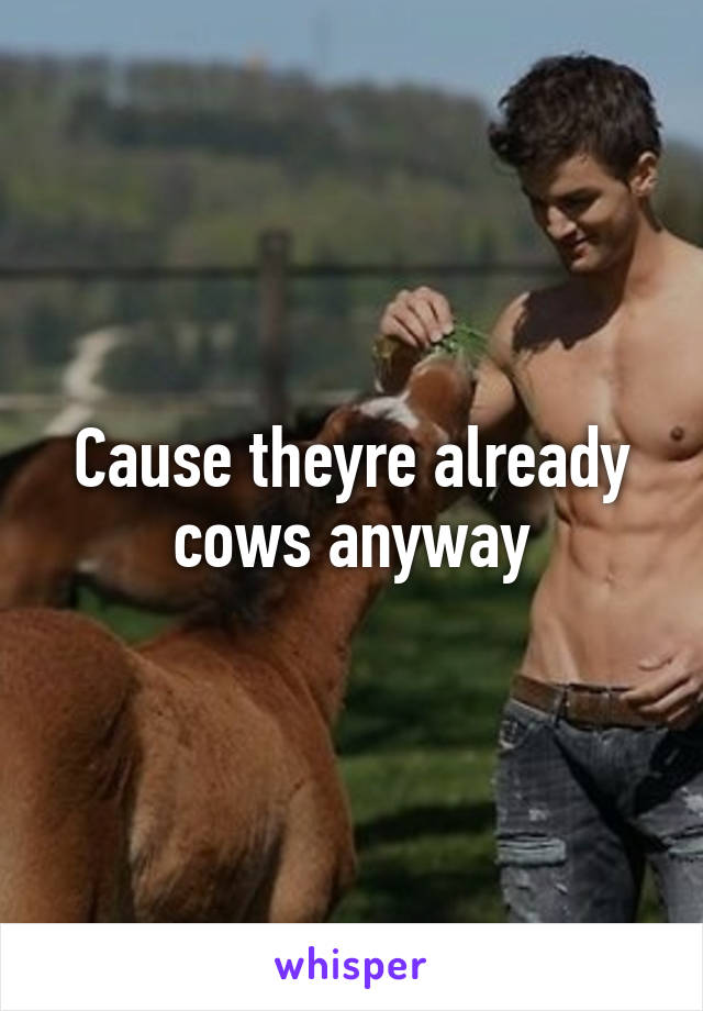 Cause theyre already cows anyway