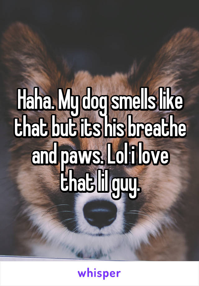 Haha. My dog smells like that but its his breathe and paws. Lol i love that lil guy.