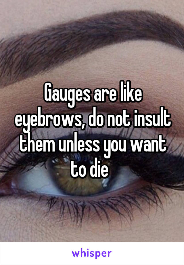 Gauges are like eyebrows, do not insult them unless you want to die  