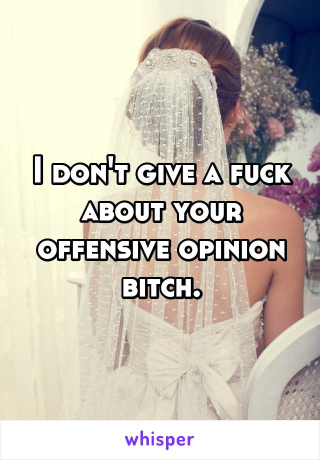 I don't give a fuck about your offensive opinion bitch.