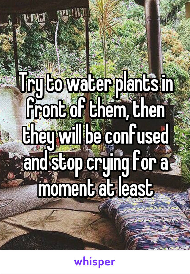 Try to water plants in front of them, then they will be confused and stop crying for a moment at least