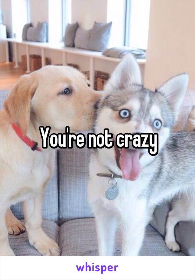 You're not crazy