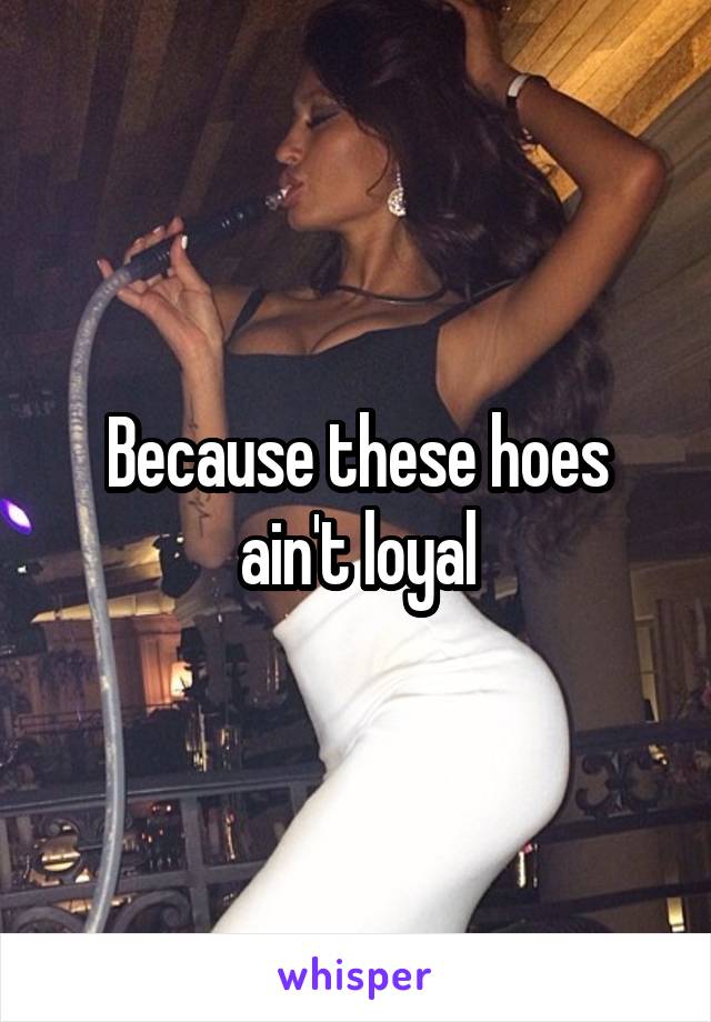 Because these hoes ain't loyal