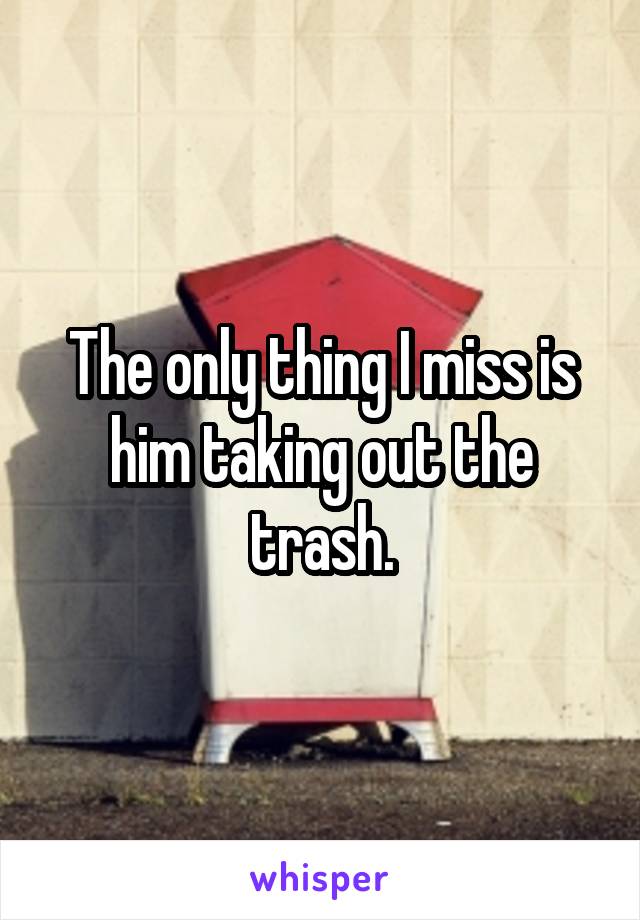 The only thing I miss is him taking out the trash.