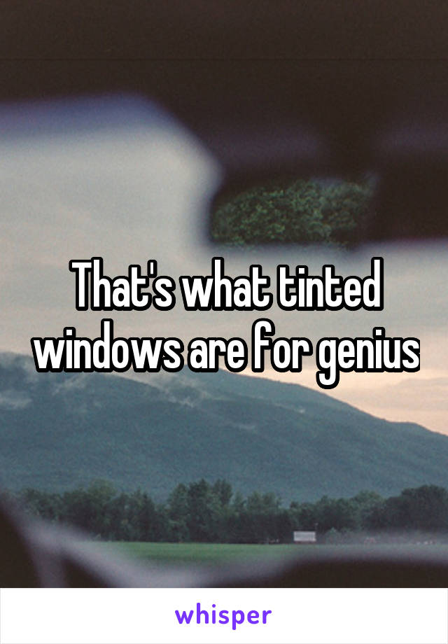 That's what tinted windows are for genius