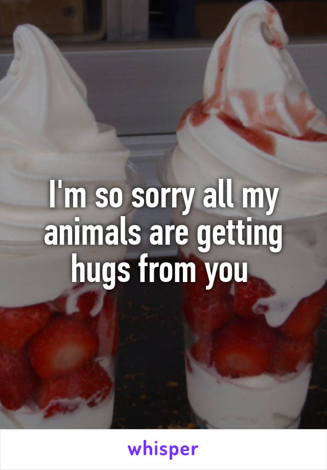 I'm so sorry all my animals are getting hugs from you 