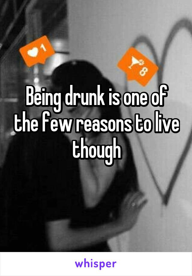 Being drunk is one of the few reasons to live though
