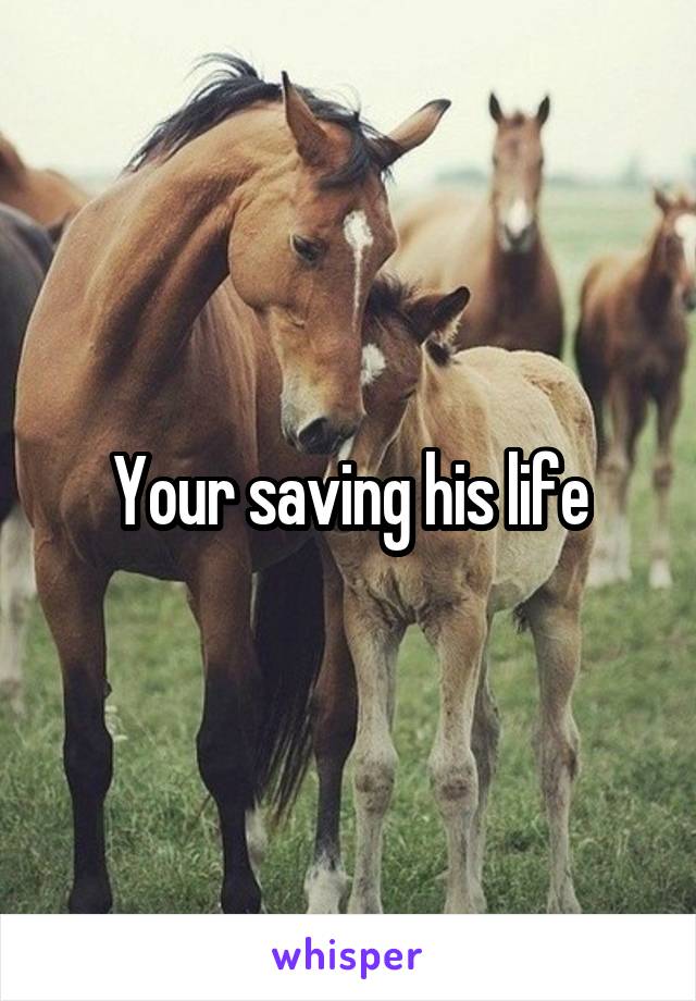 Your saving his life