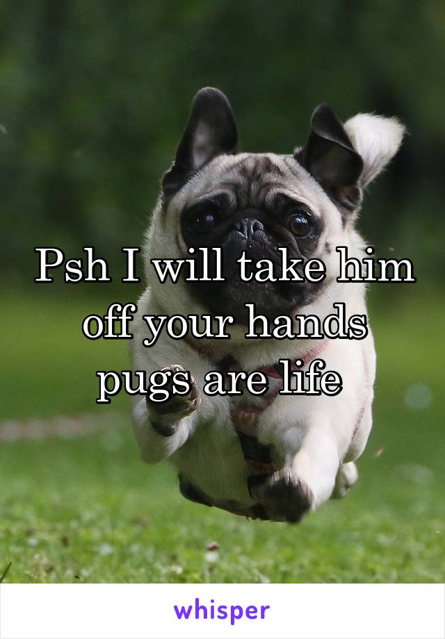 Psh I will take him off your hands pugs are life 