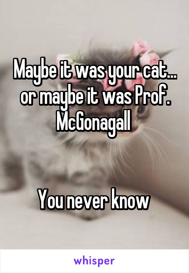 Maybe it was your cat... or maybe it was Prof. McGonagall 


You never know 