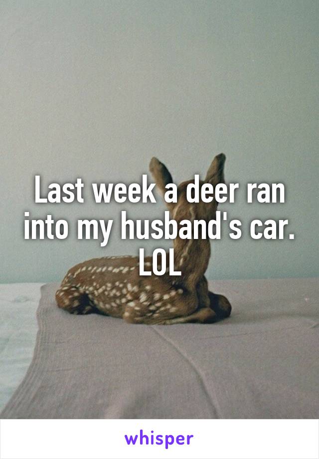 Last week a deer ran into my husband's car.
LOL