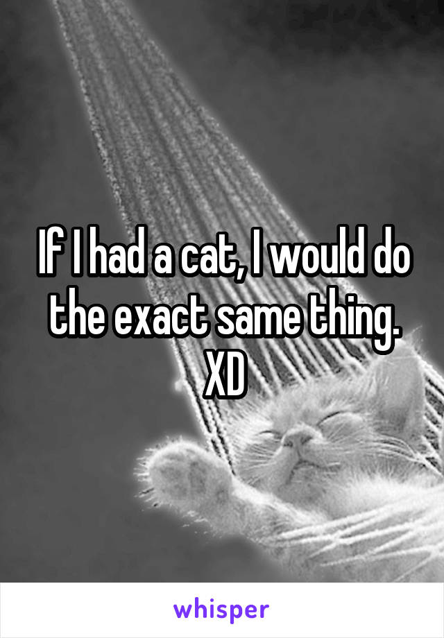 If I had a cat, I would do the exact same thing. XD