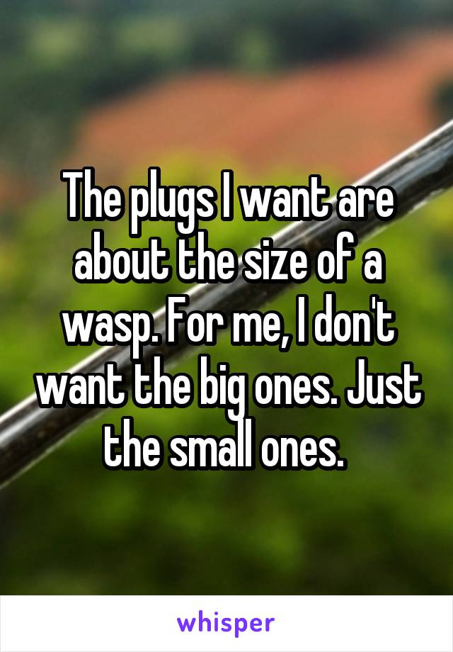 The plugs I want are about the size of a wasp. For me, I don't want the big ones. Just the small ones. 