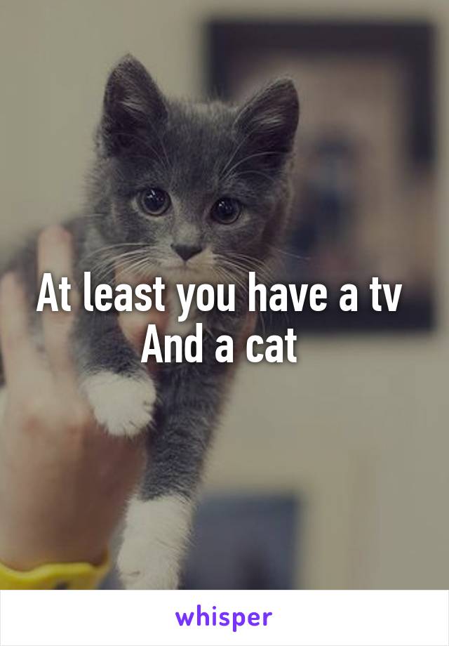 At least you have a tv 
And a cat 