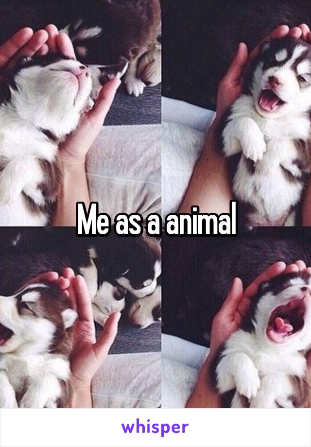 Me as a animal