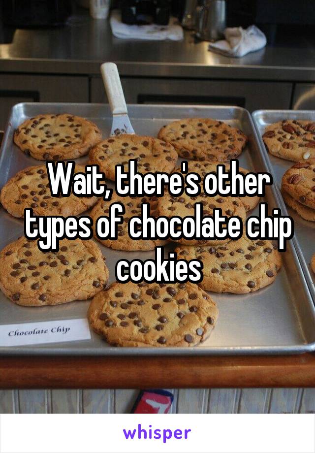 Wait, there's other types of chocolate chip cookies