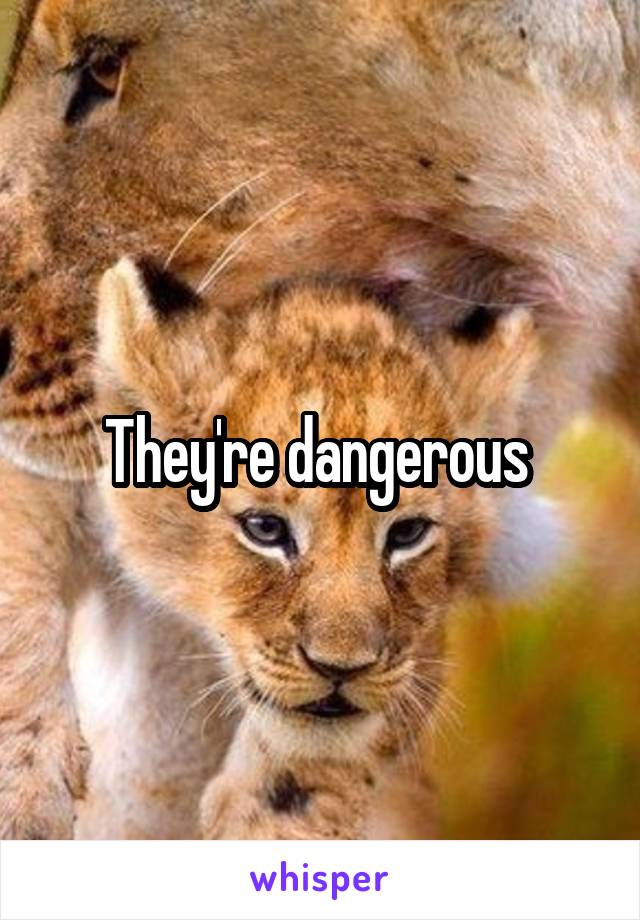 They're dangerous 