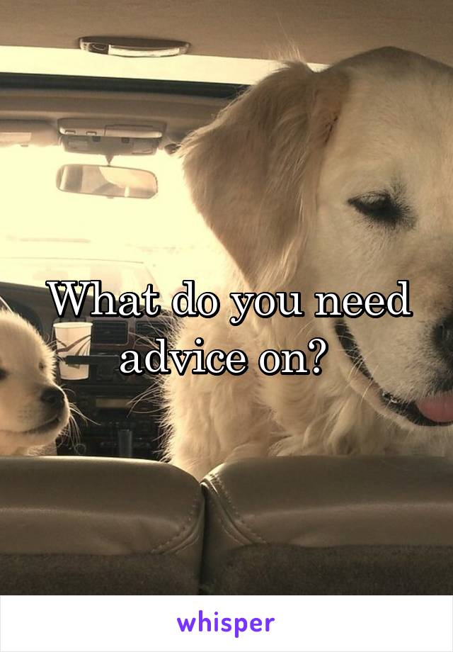 What do you need advice on? 