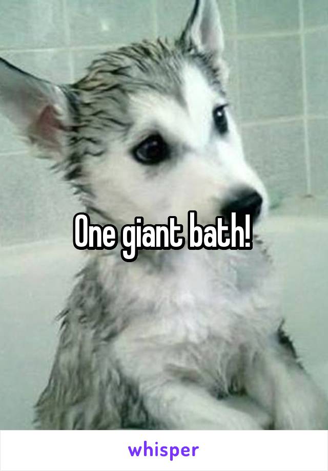 One giant bath! 