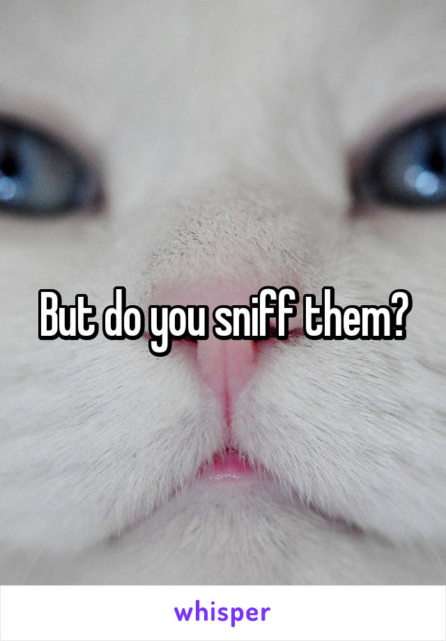 But do you sniff them?