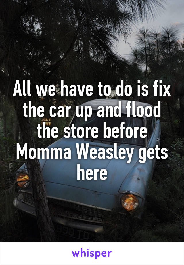 All we have to do is fix the car up and flood the store before Momma Weasley gets here