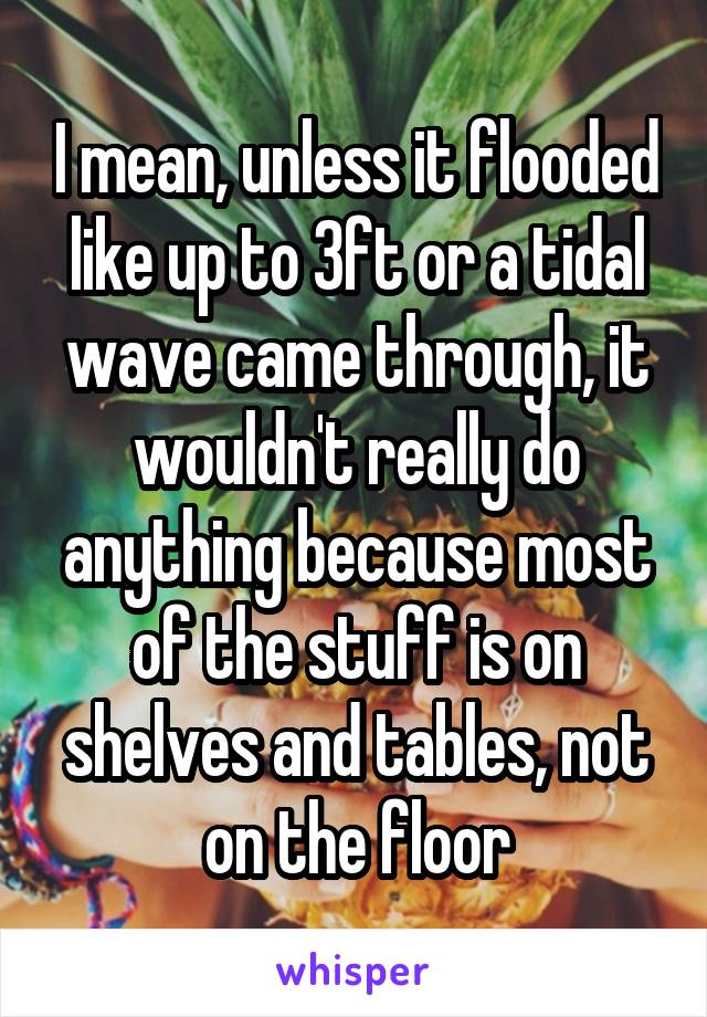 I mean, unless it flooded like up to 3ft or a tidal wave came through, it wouldn't really do anything because most of the stuff is on shelves and tables, not on the floor