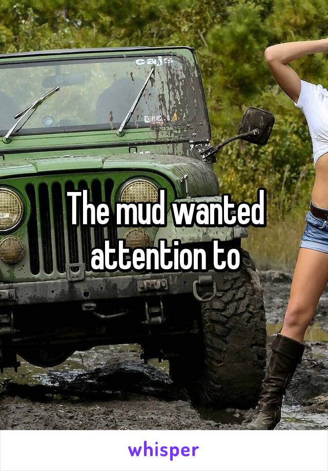 The mud wanted attention to
