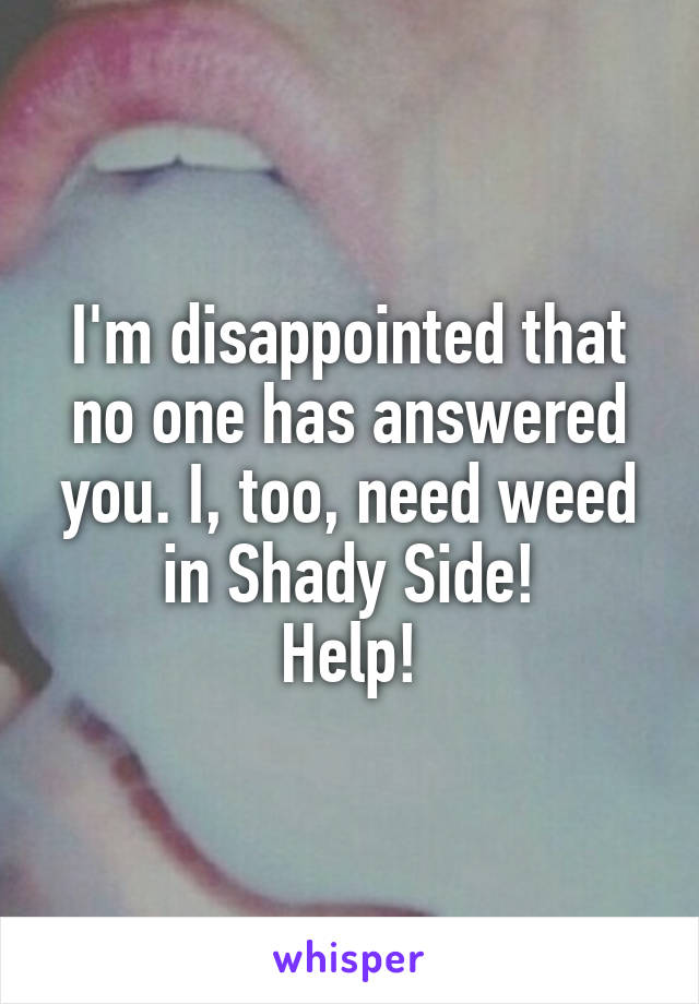 I'm disappointed that no one has answered you. I, too, need weed in Shady Side!
Help!