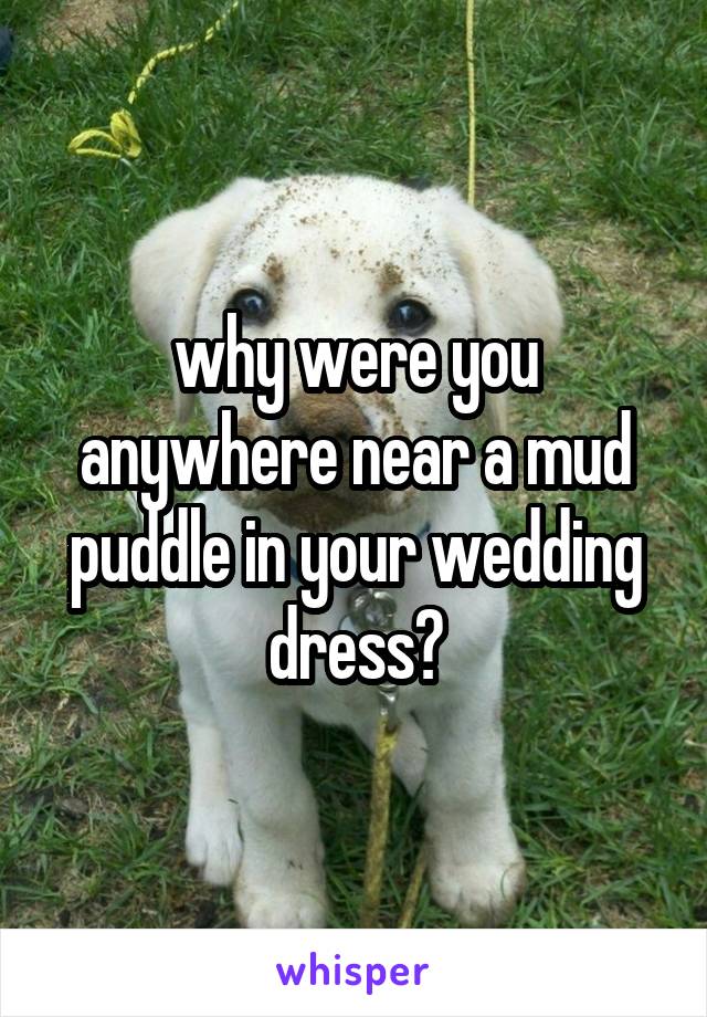 why were you anywhere near a mud puddle in your wedding dress?