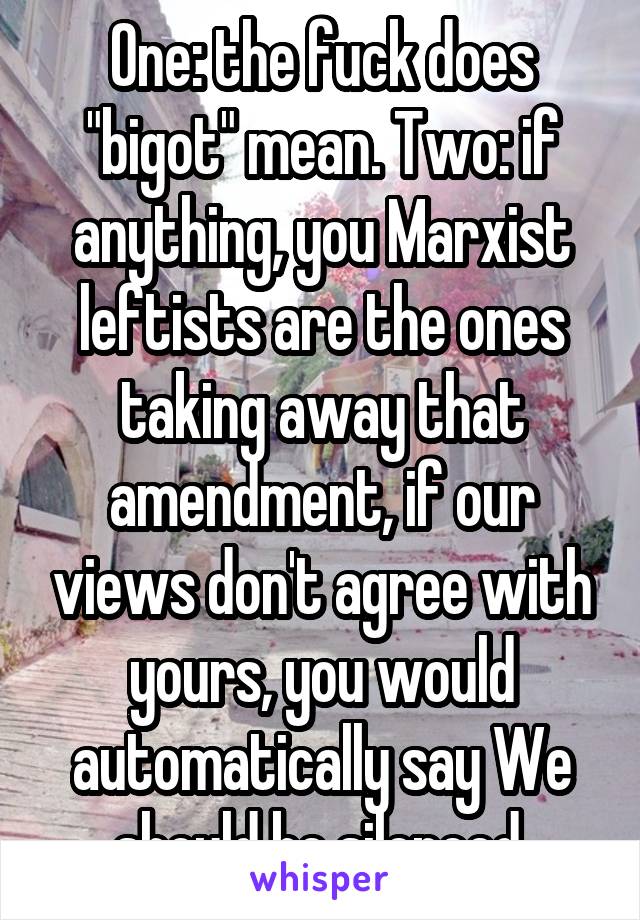 One: the fuck does "bigot" mean. Two: if anything, you Marxist leftists are the ones taking away that amendment, if our views don't agree with yours, you would automatically say We should be silenced.