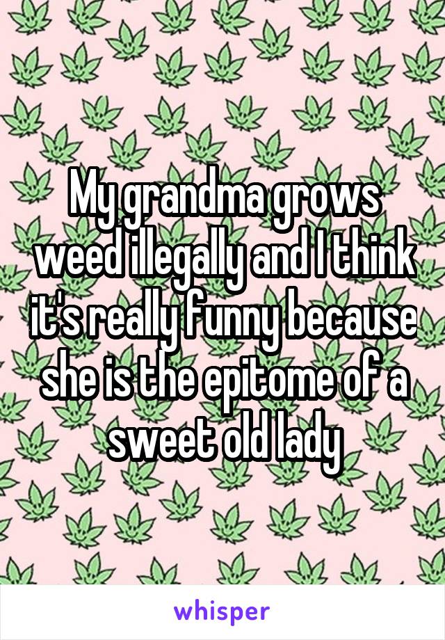 My grandma grows weed illegally and I think it's really funny because she is the epitome of a sweet old lady
