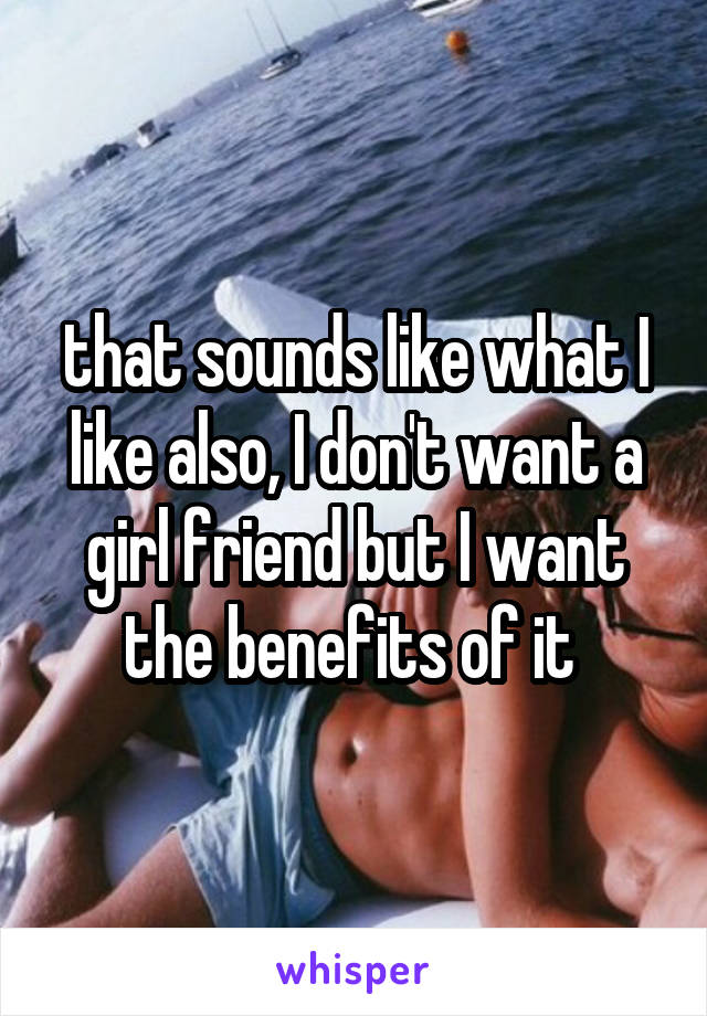 that sounds like what I like also, I don't want a girl friend but I want the benefits of it 