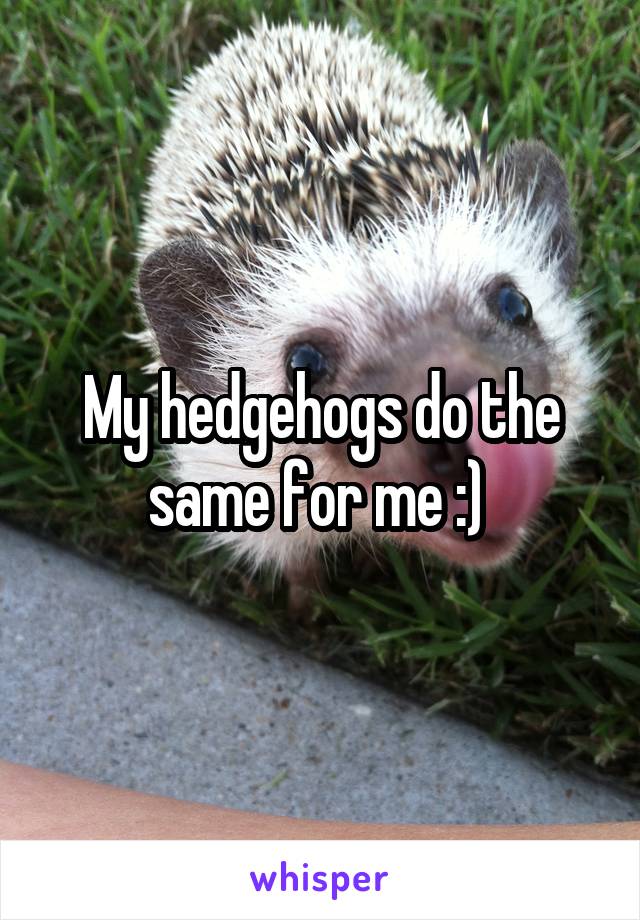 My hedgehogs do the same for me :) 