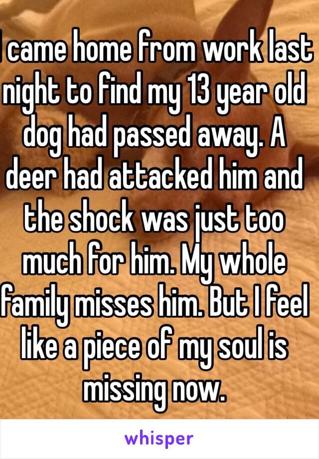 I came home from work last night to find my 13 year old dog had passed away. A deer had attacked him and the shock was just too much for him. My whole family misses him. But I feel like a piece of my soul is missing now.