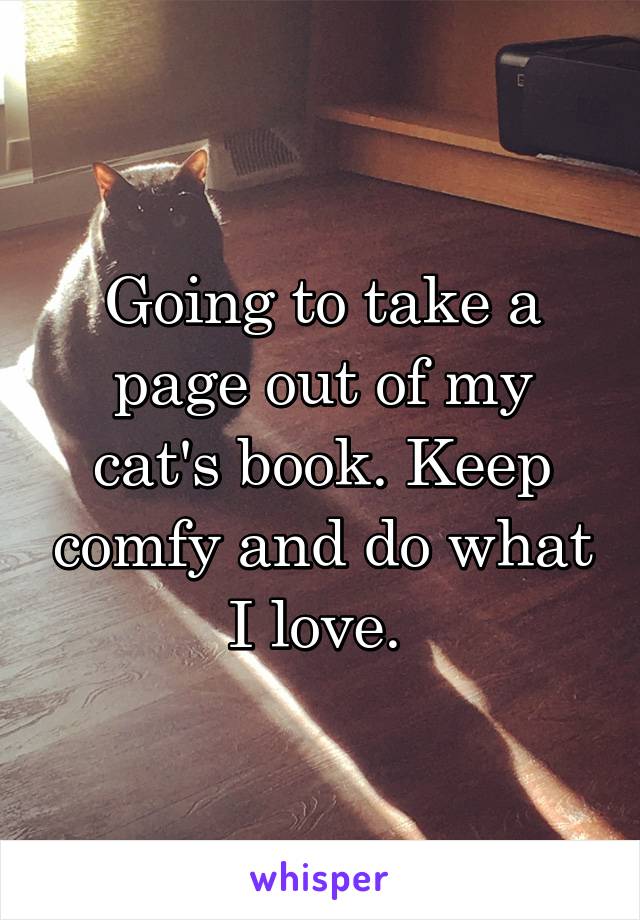 Going to take a page out of my cat's book. Keep comfy and do what I love. 