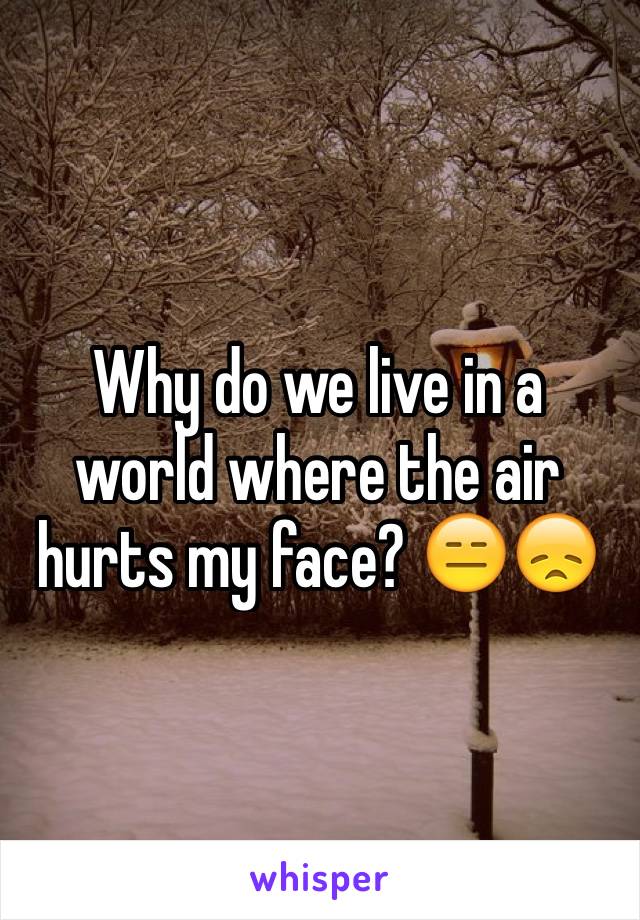 Why do we live in a world where the air hurts my face? 😑😞