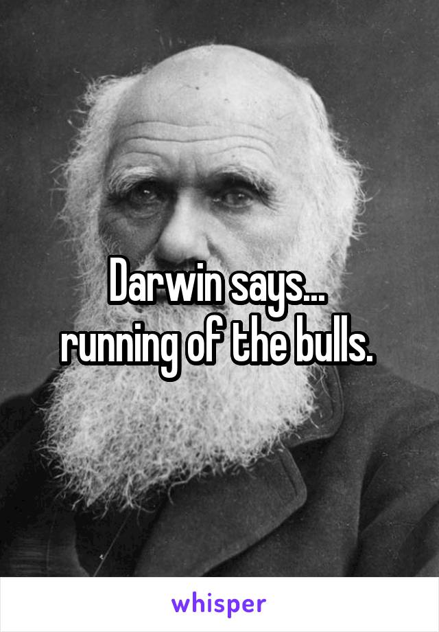 Darwin says... 
running of the bulls. 