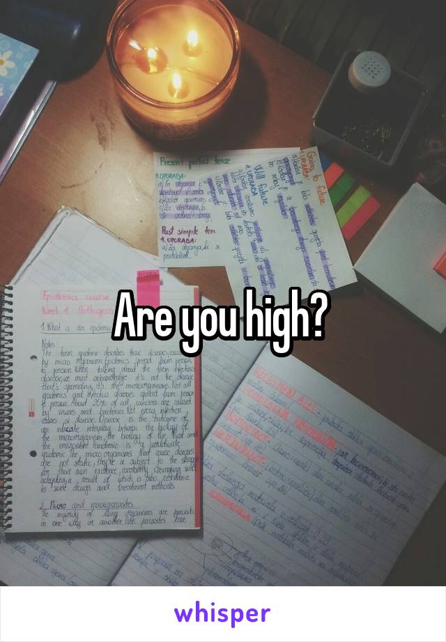 Are you high? 