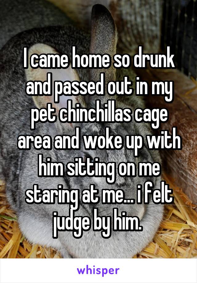I came home so drunk and passed out in my pet chinchillas cage area and woke up with him sitting on me staring at me... i felt judge by him. 
