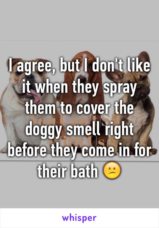 I agree, but I don't like it when they spray them to cover the doggy smell right before they come in for their bath 😕