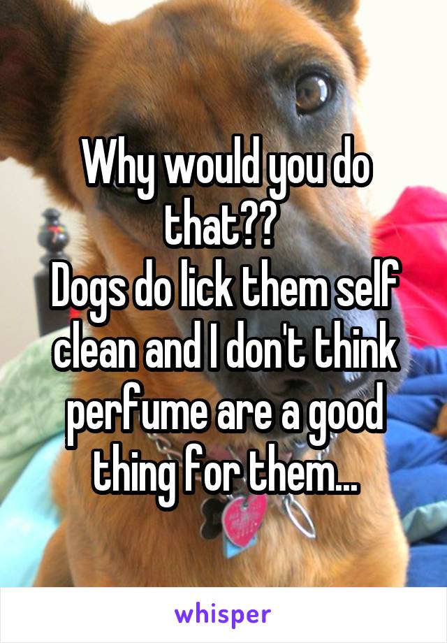 Why would you do that?? 
Dogs do lick them self clean and I don't think perfume are a good thing for them...