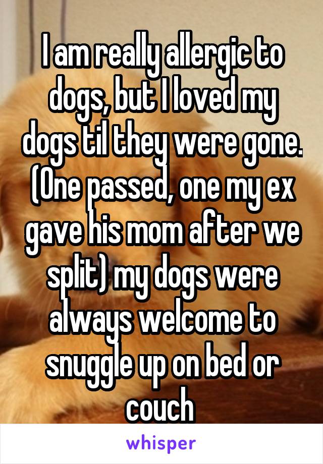 I am really allergic to dogs, but I loved my dogs til they were gone. (One passed, one my ex gave his mom after we split) my dogs were always welcome to snuggle up on bed or couch 