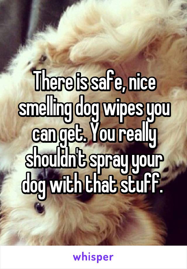 There is safe, nice smelling dog wipes you can get. You really shouldn't spray your dog with that stuff. 