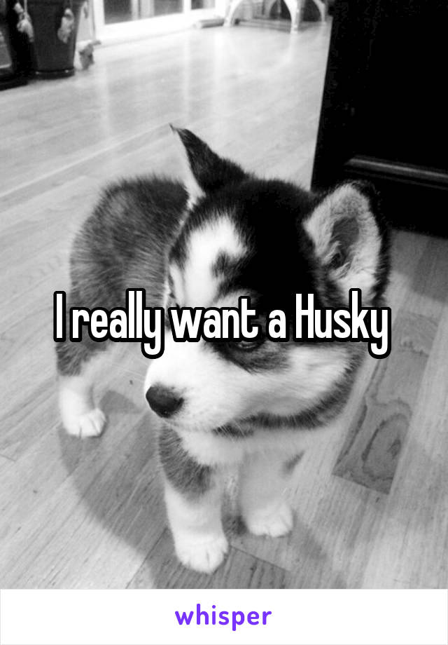 I really want a Husky 