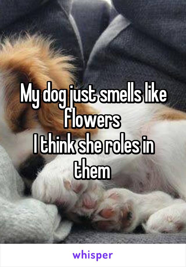 My dog just smells like flowers 
I think she roles in them 