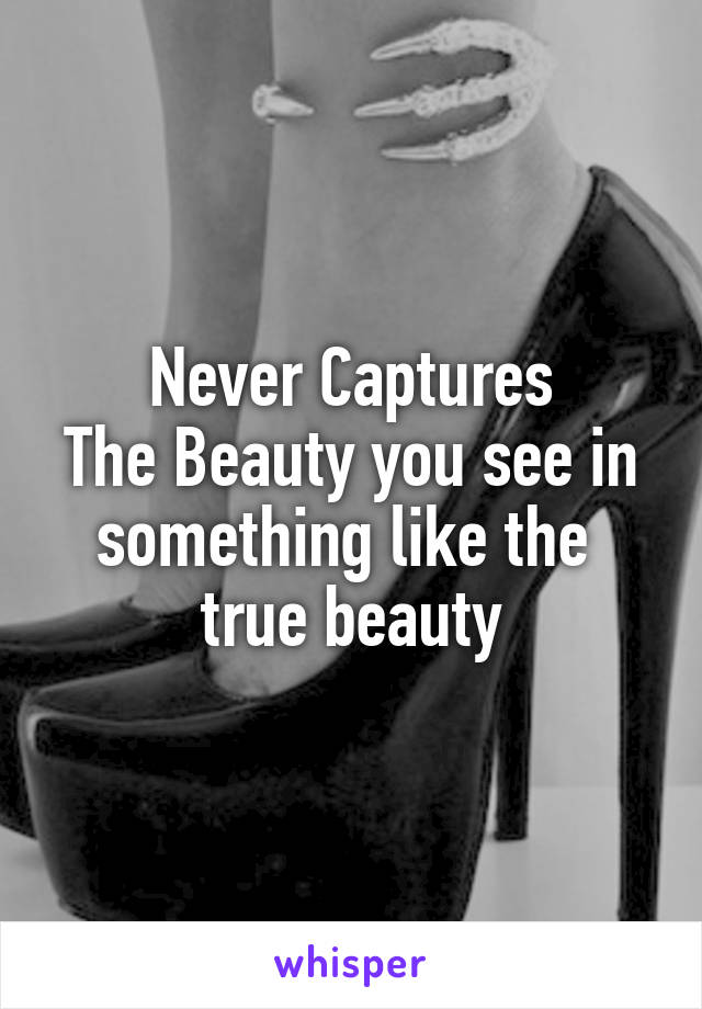 Never Captures
The Beauty you see in something like the 
true beauty