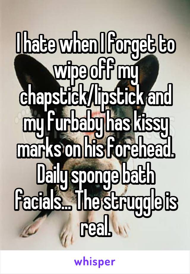 I hate when I forget to wipe off my chapstick/lipstick and my furbaby has kissy marks on his forehead. Daily sponge bath facials... The struggle is real.