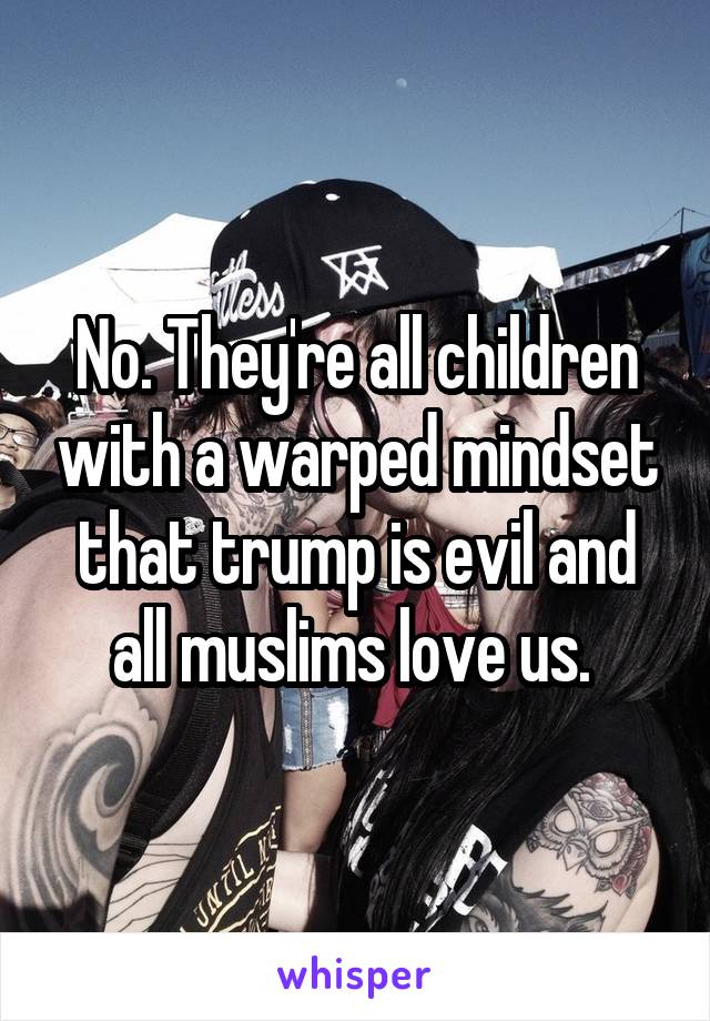 No. They're all children with a warped mindset that trump is evil and all muslims love us. 